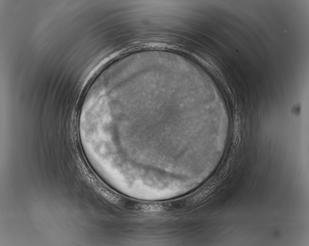 X0000114610798200912010936