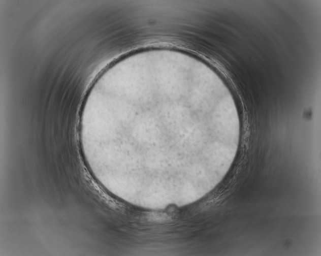 X0000114610799200912010936