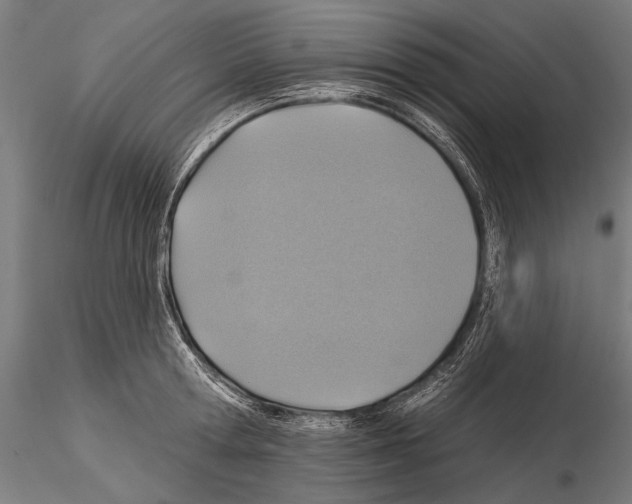 X0000114610802200912010936