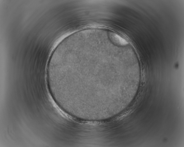 X0000114610803200912010936