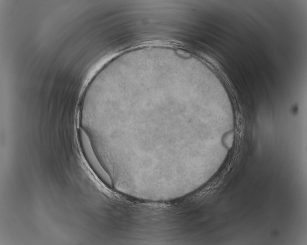 X0000114610804200912010936