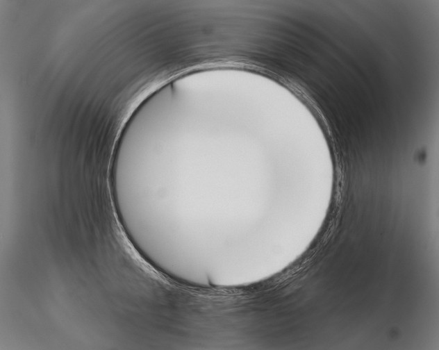 X0000114610805200912010936