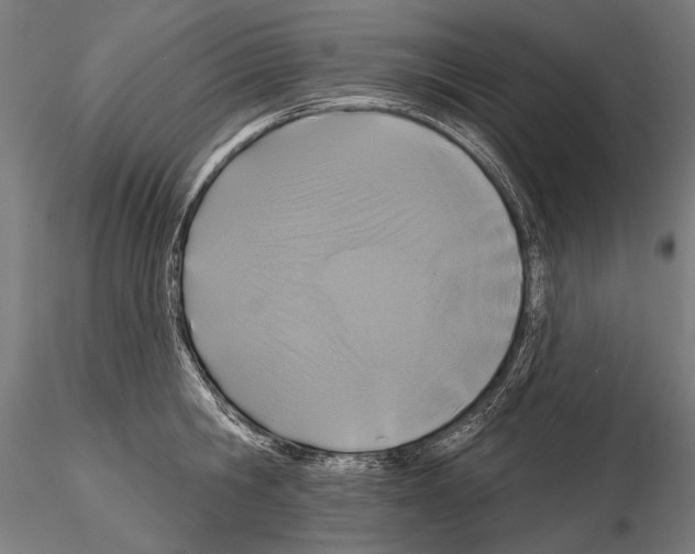 X0000114610806200912010936