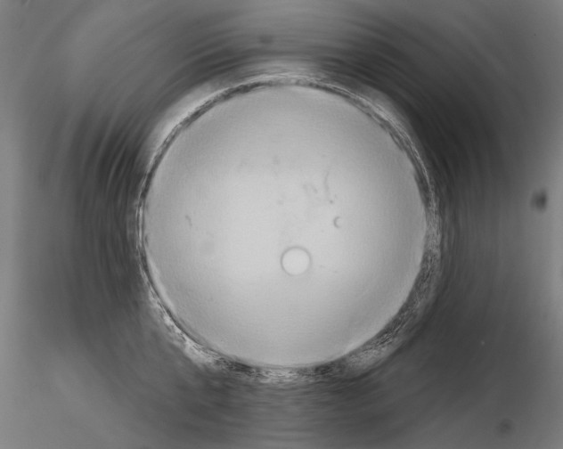 X0000114610807200912010936