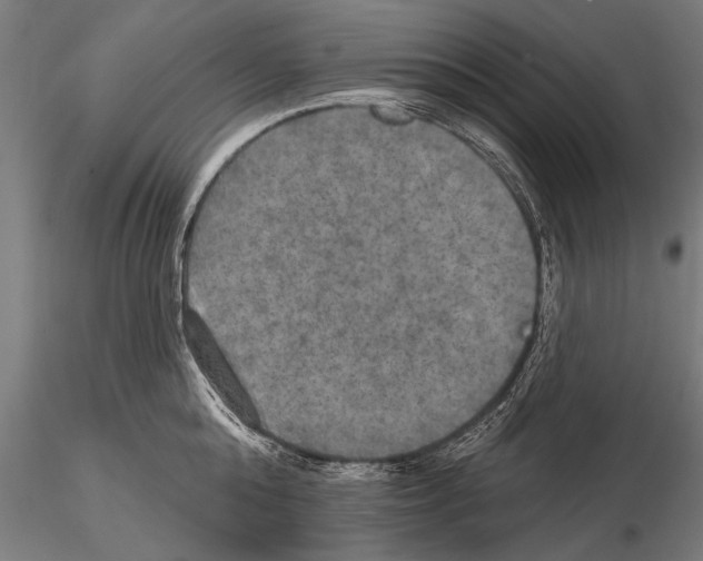 X0000114610808200912010936