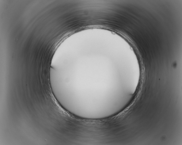 X0000114610809200912010936