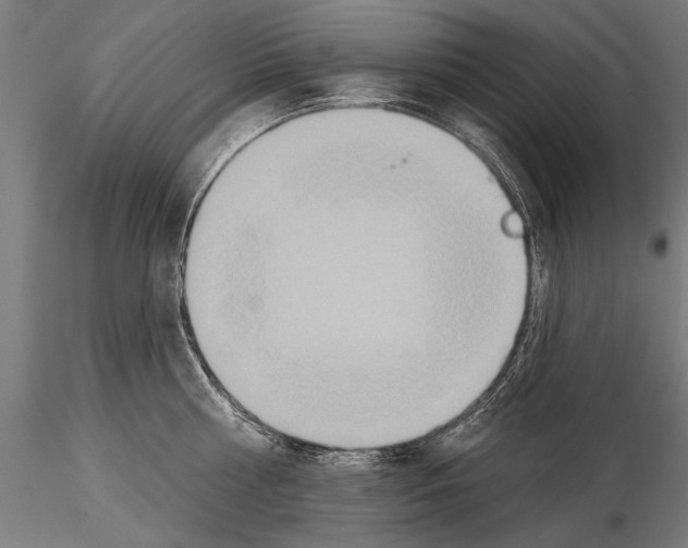 X0000114610810200912010936