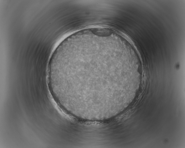 X0000114610811200912010936