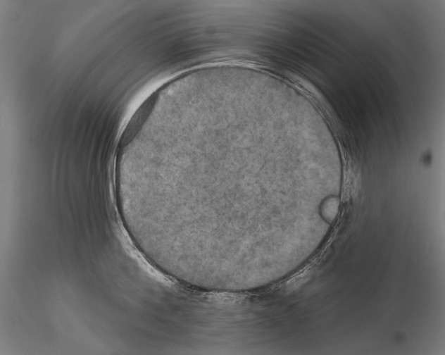 X0000114610812200912010936