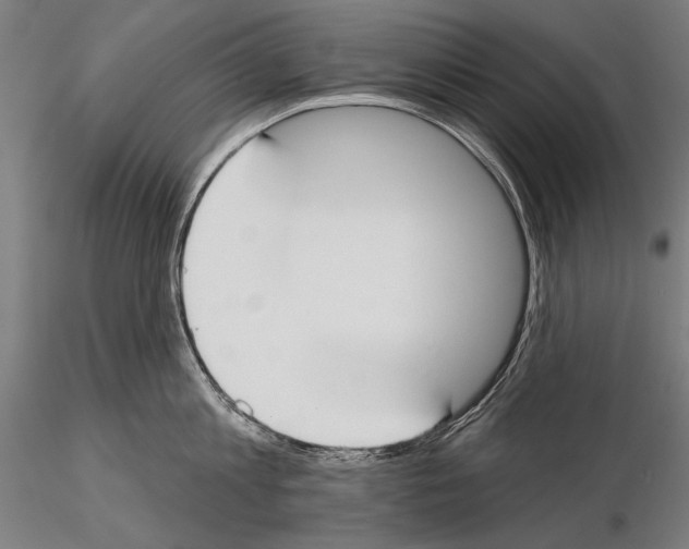 X0000114610813200912010936