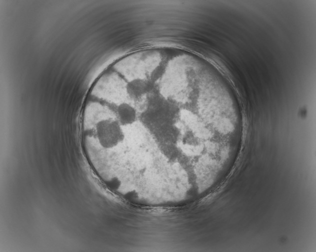 X0000114610814200912010936