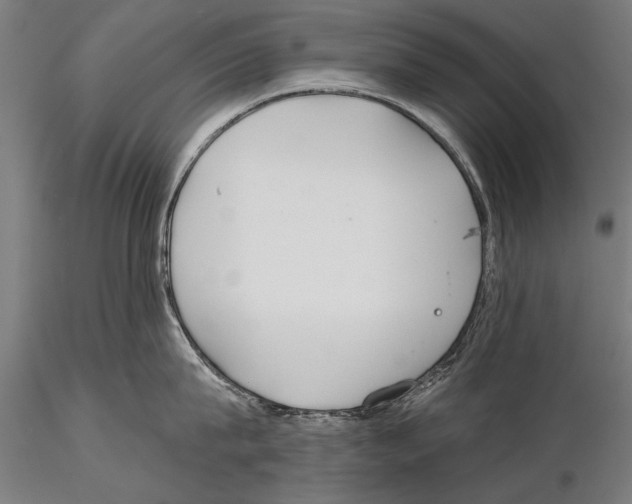 X0000114610815200912010936