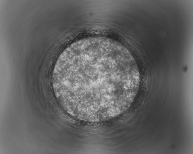 X0000114610817200912010935