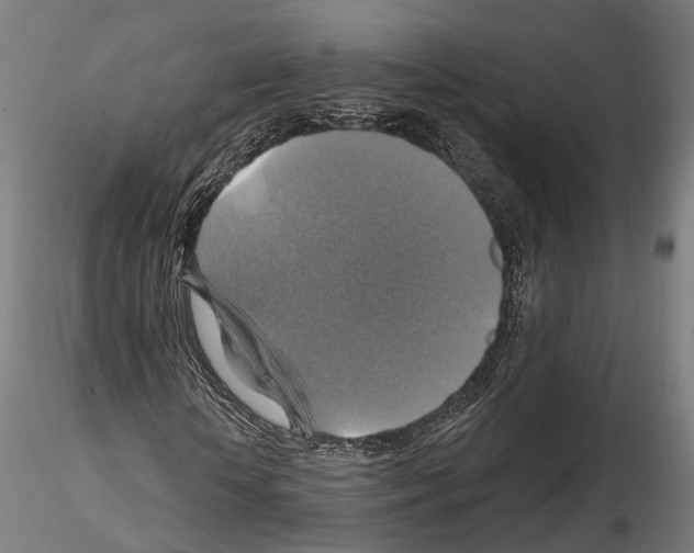 X0000114610818200912010935