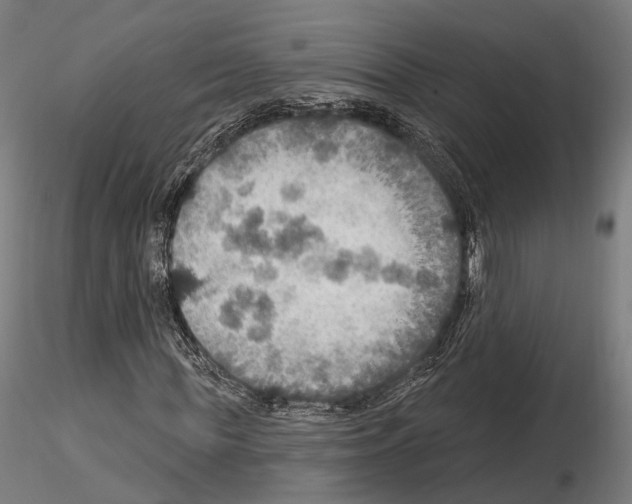 X0000114610819200912010935