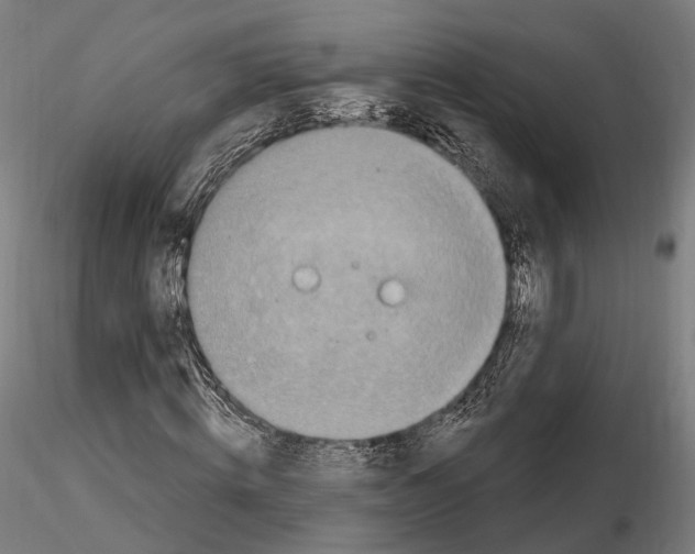 X0000114610820200912010935