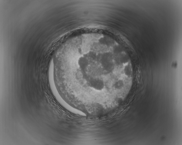 X0000114610821200912010935