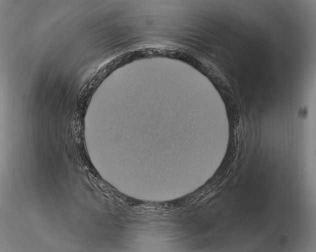 X0000114610822200912010935