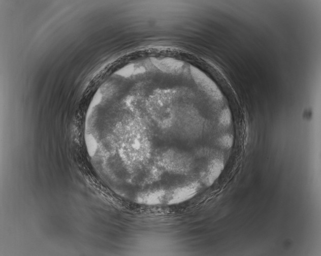 X0000114610823200912010935