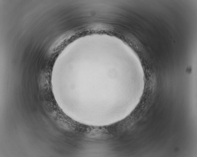 X0000114610824200912010935