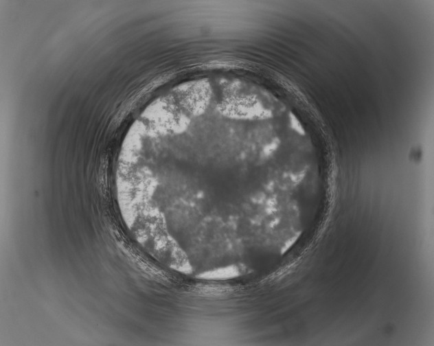 X0000114610825200912010935