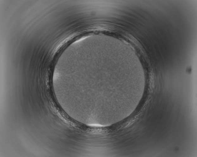 X0000114610826200912010935