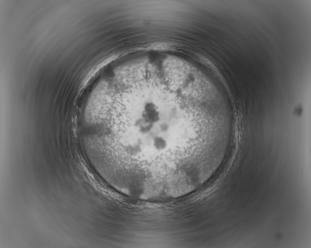 X0000114610827200912010935