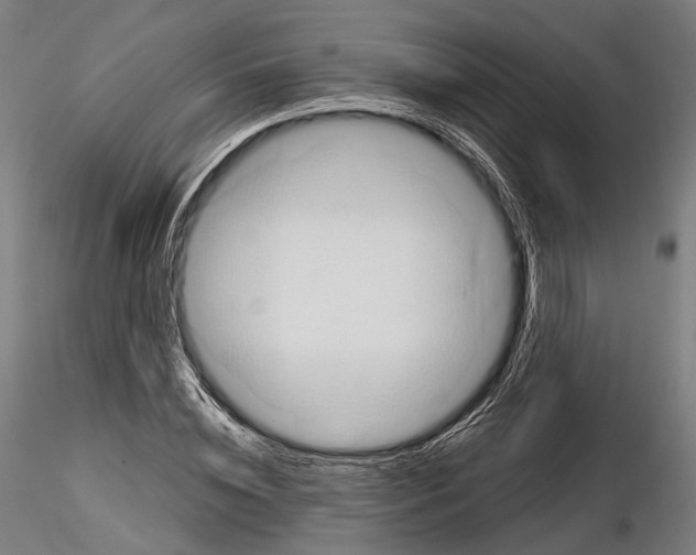 X0000114610828200912010935