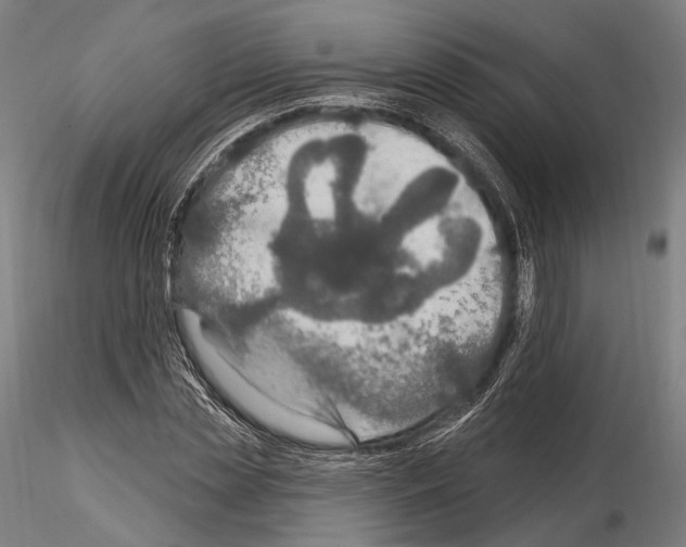 X0000114610829200912010935