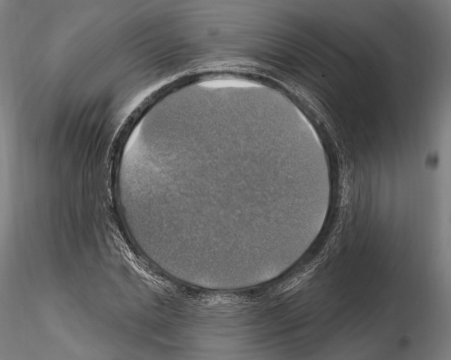 X0000114610830200912010935