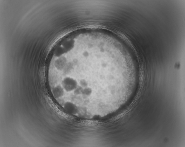 X0000114610831200912010935