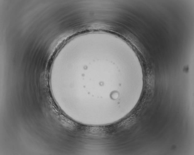 X0000114610832200912010935