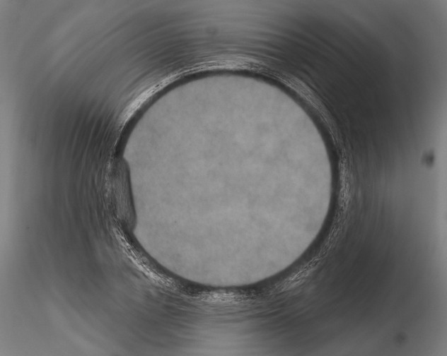 X0000114610834200912010935