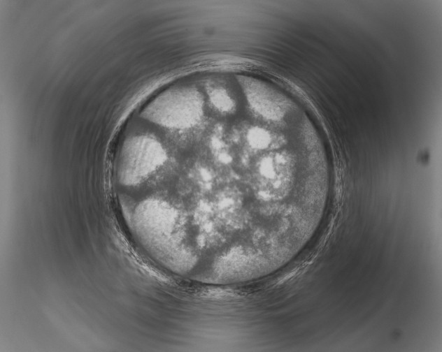 X0000114610835200912010935