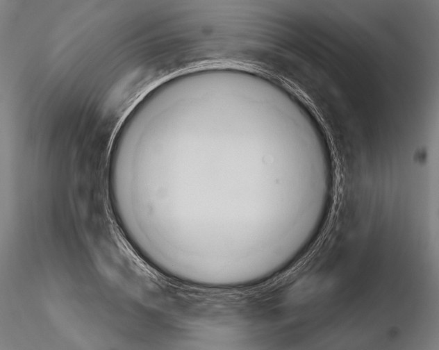 X0000114610836200912010935