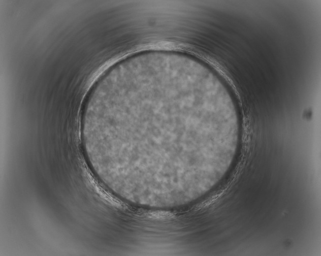 X0000114610837200912010935