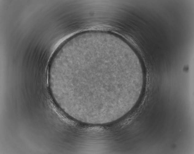 X0000114610838200912010935