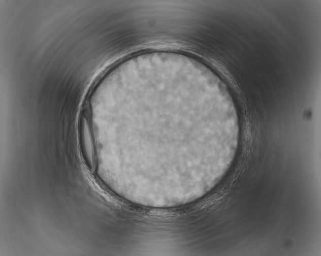 X0000114610840200912010935