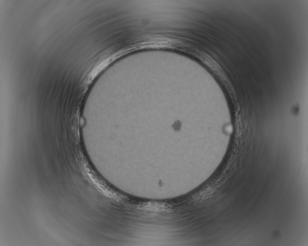 X0000114610842200912010935