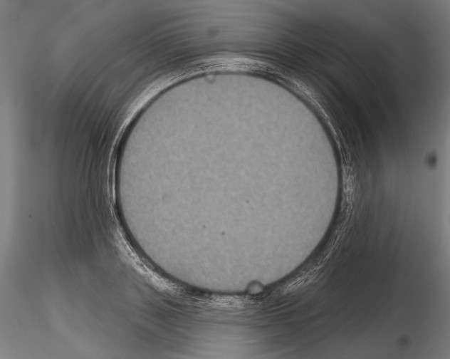 X0000114610843200912010935