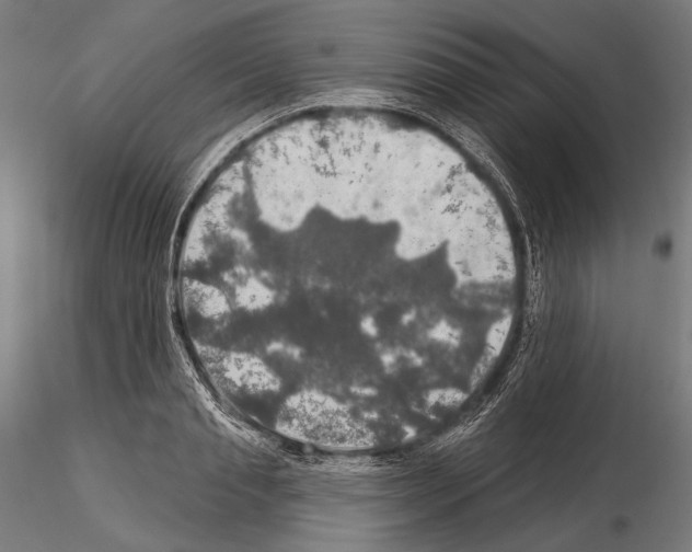 X0000114610845200912010935