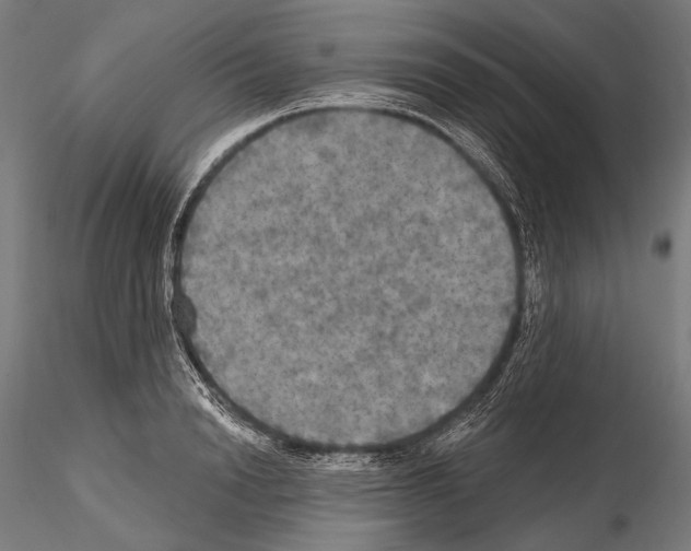 X0000114610846200912010935