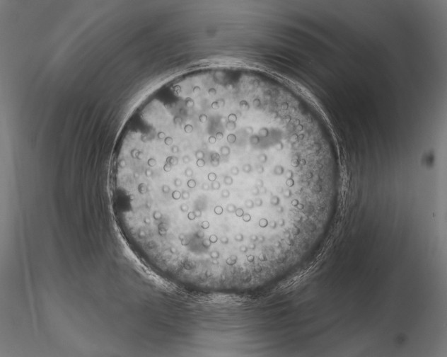 X0000114610847200912010935