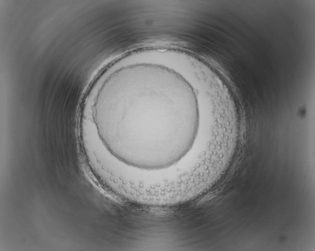 X0000114610848200912010935