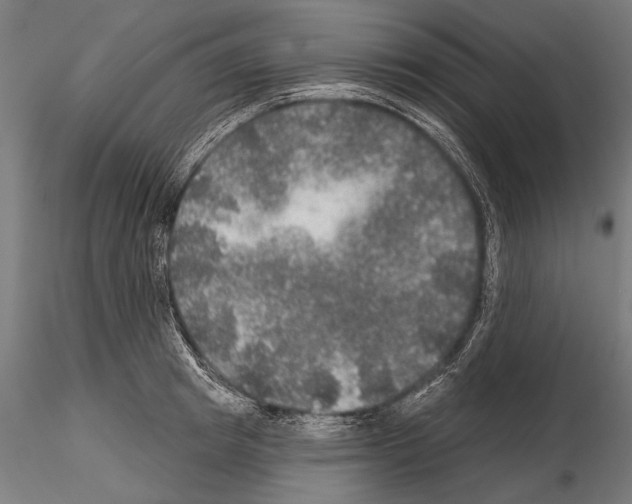 X0000114610849200912010935