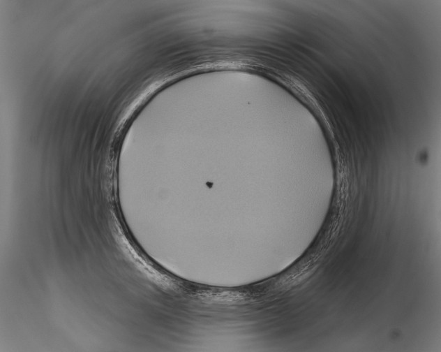 X0000114610851200912010935