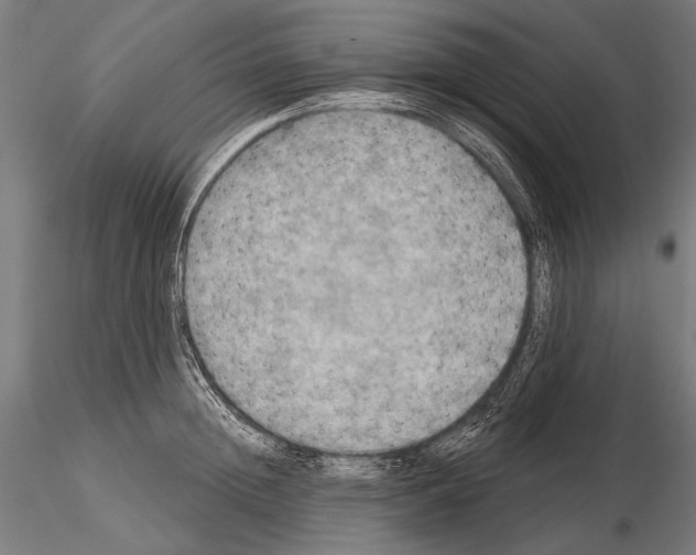 X0000114610852200912010935