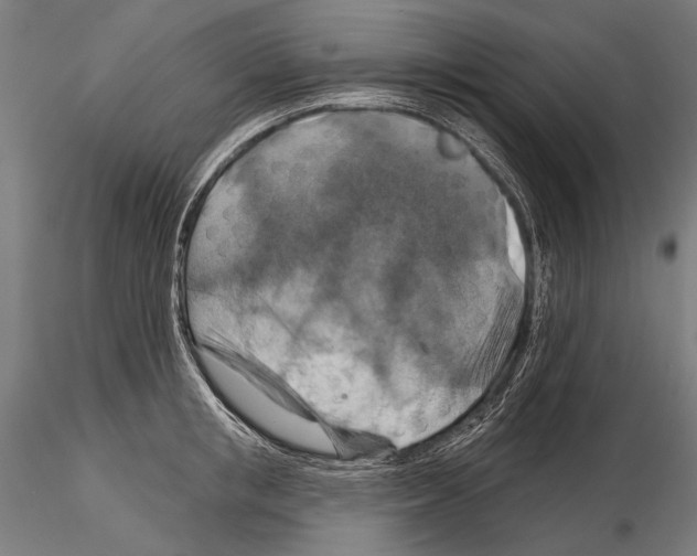 X0000114610853200912010935