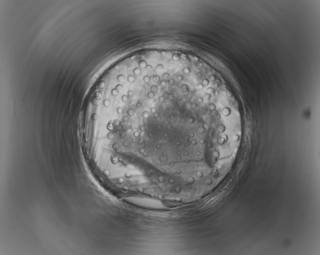 X0000114610855200912010935