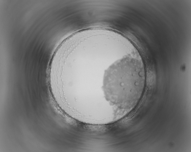 X0000114610856200912010935